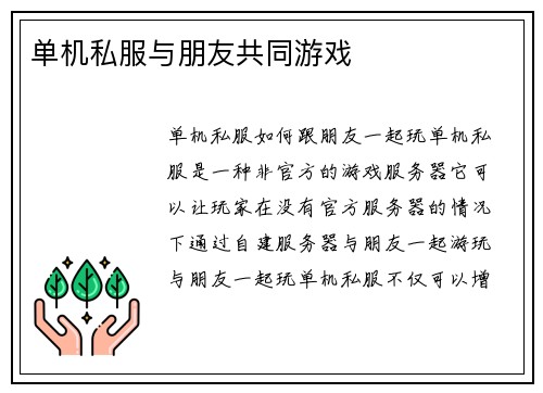 单机私服与朋友共同游戏