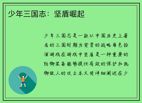 少年三国志：坚盾崛起
